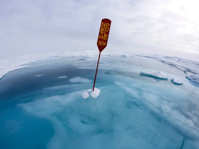 Winnaars Science Photographer of the Year 2020