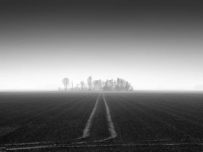 Zeeuws-Vlaamse landschappen internationaal bekroond