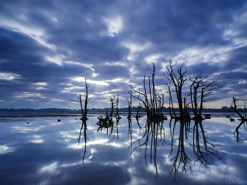 De Tao van wetland fotografie - fotograaf Bas Breetveld