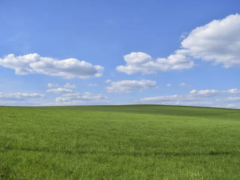 Fotograferen in de zon: 5 praktische tips