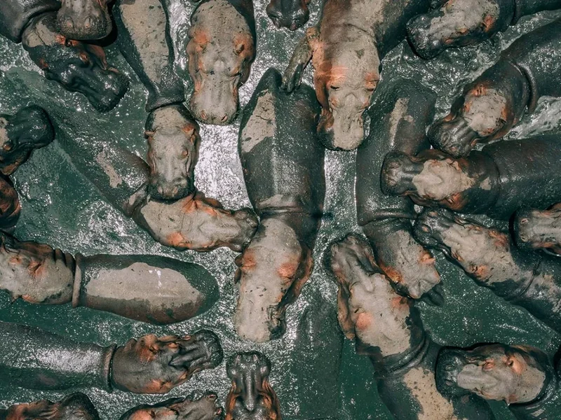 De beste dronefoto's van 2018 op Dronestagram