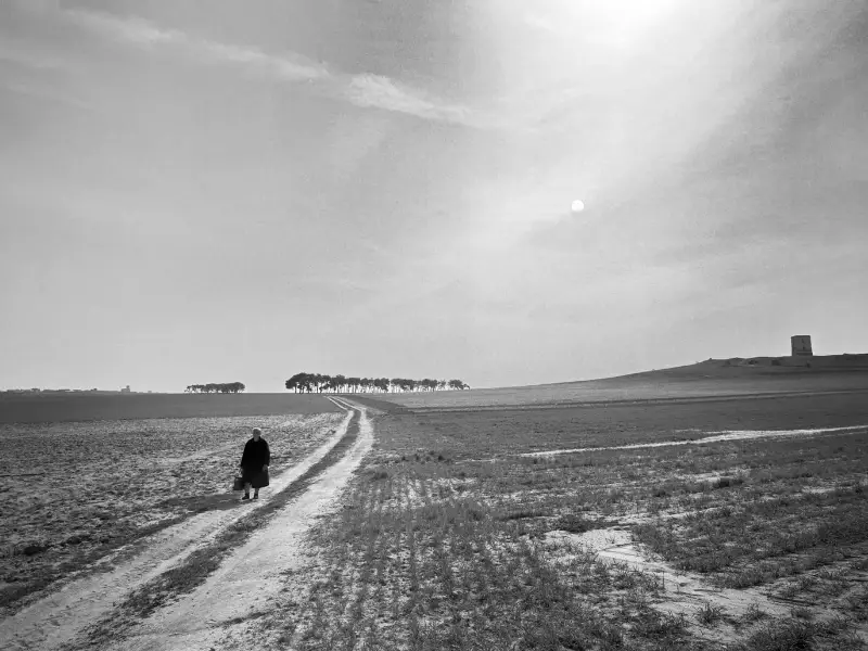 Gerhard Steidl wint Outstanding Contribution to Photography 2020