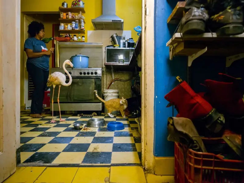 Twee Nederlanders strijden om titel Photographer of the Year 2019