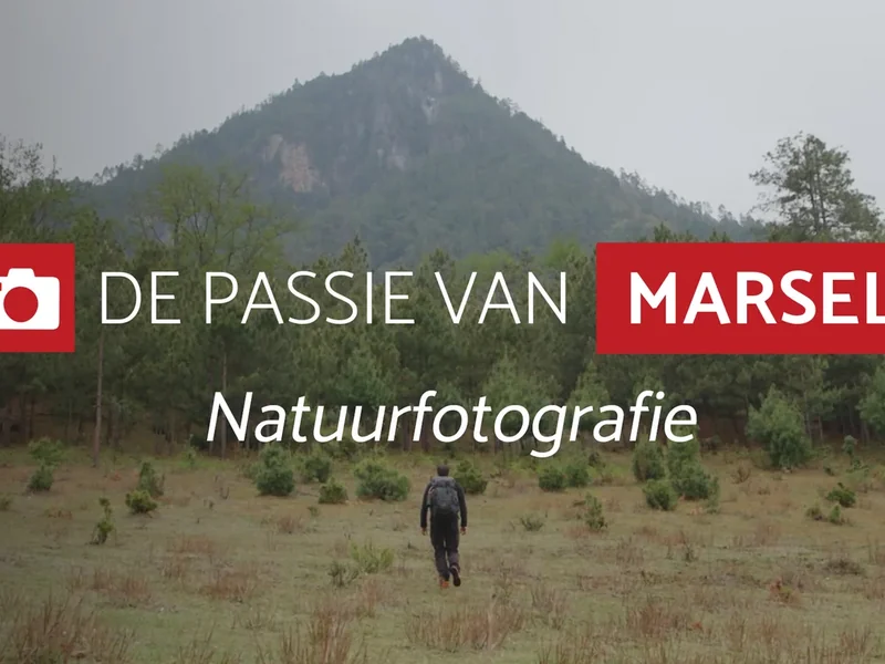 Leer alles over natuurfotografie