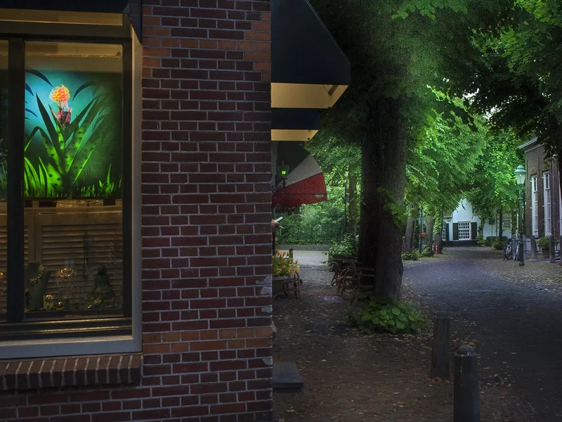 In het licht van Venus