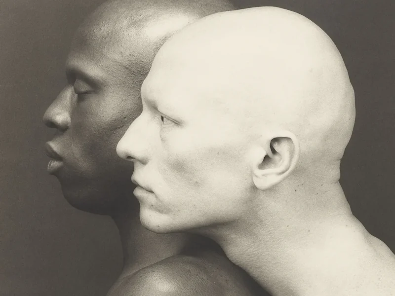 The Life and Work of Robert Mapplethorpe