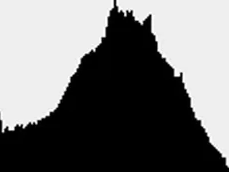 Histogram, bondgenoot bij belichten