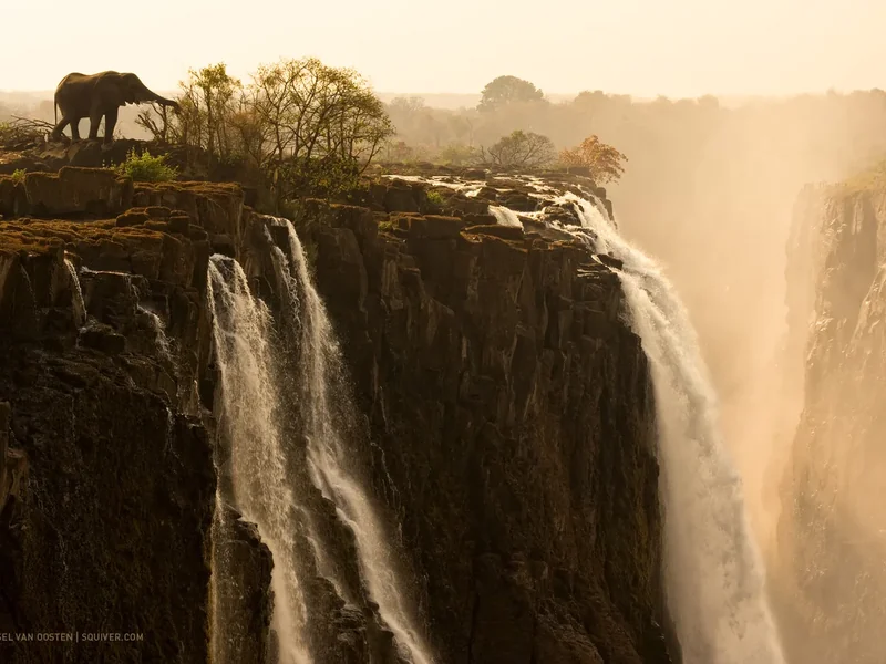 Natuurfotograaf Marsel van Oosten