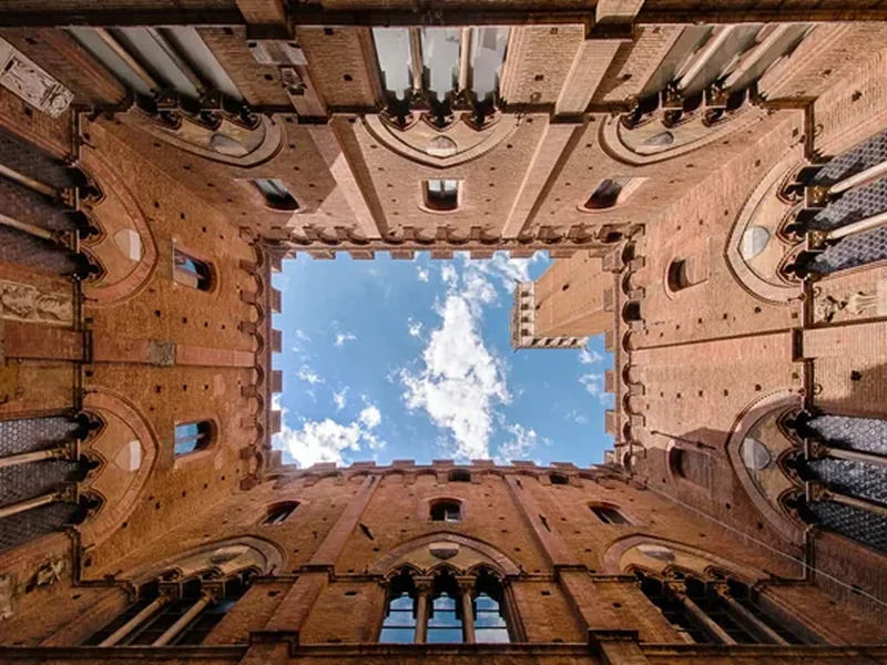 Nationale winnaar World Photography Awards bekend