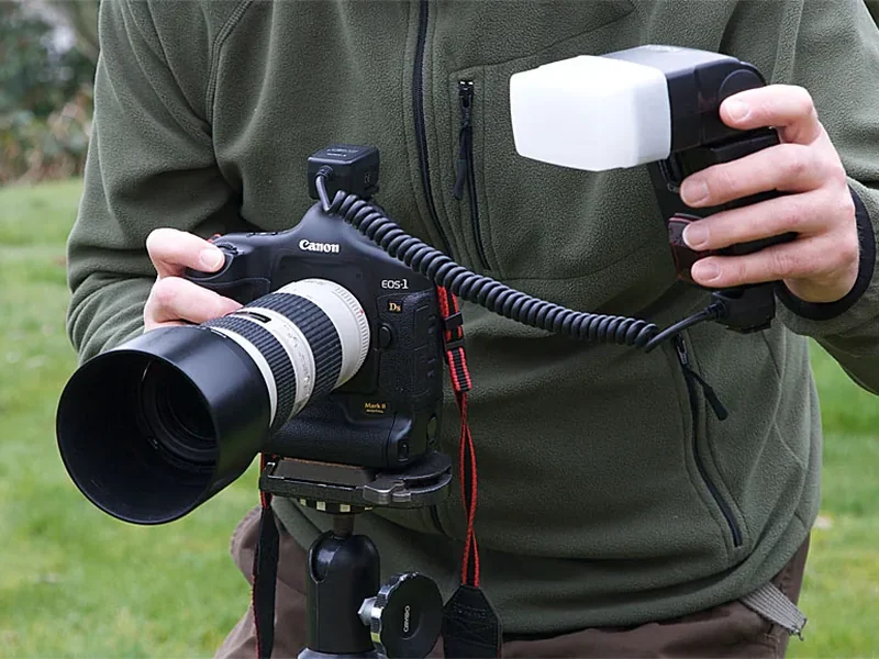 Flitslicht in de natuurfotografie: gebruik en tips