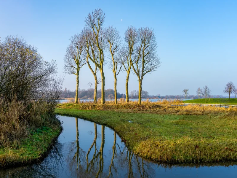 Natuurfoto’s dichtbij huis