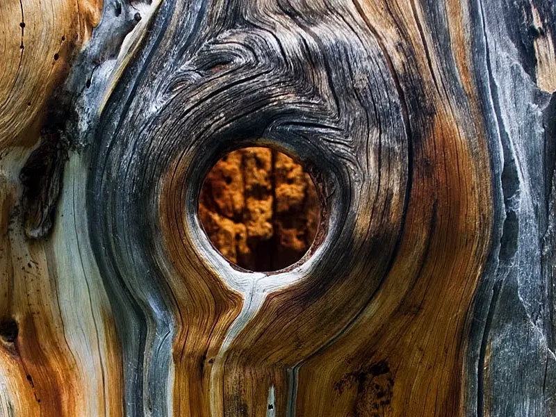 Structuren en abstracte onderwerpen fotograferen
