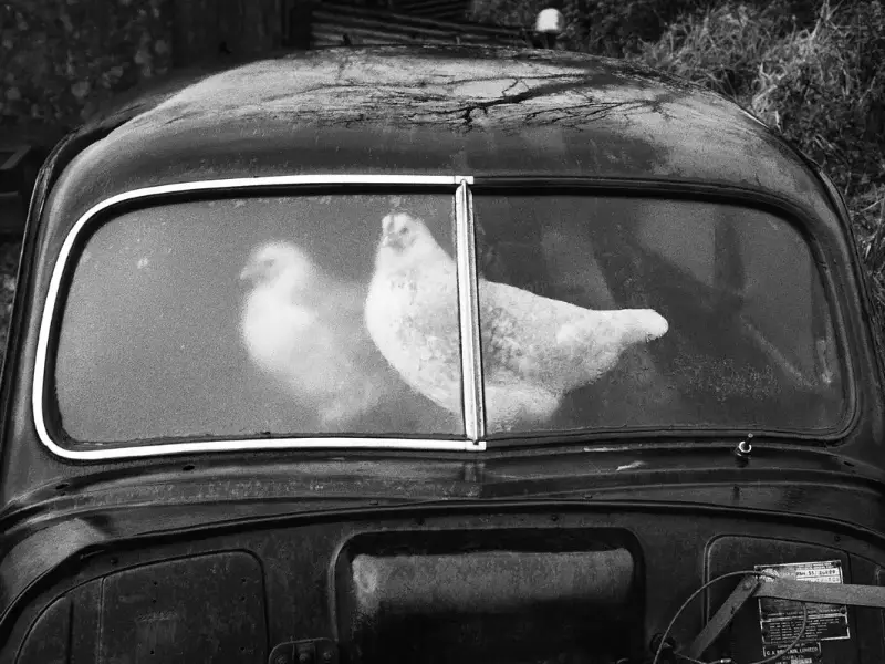 Martin Parr winnaar Outstanding Contribution to Photography Award