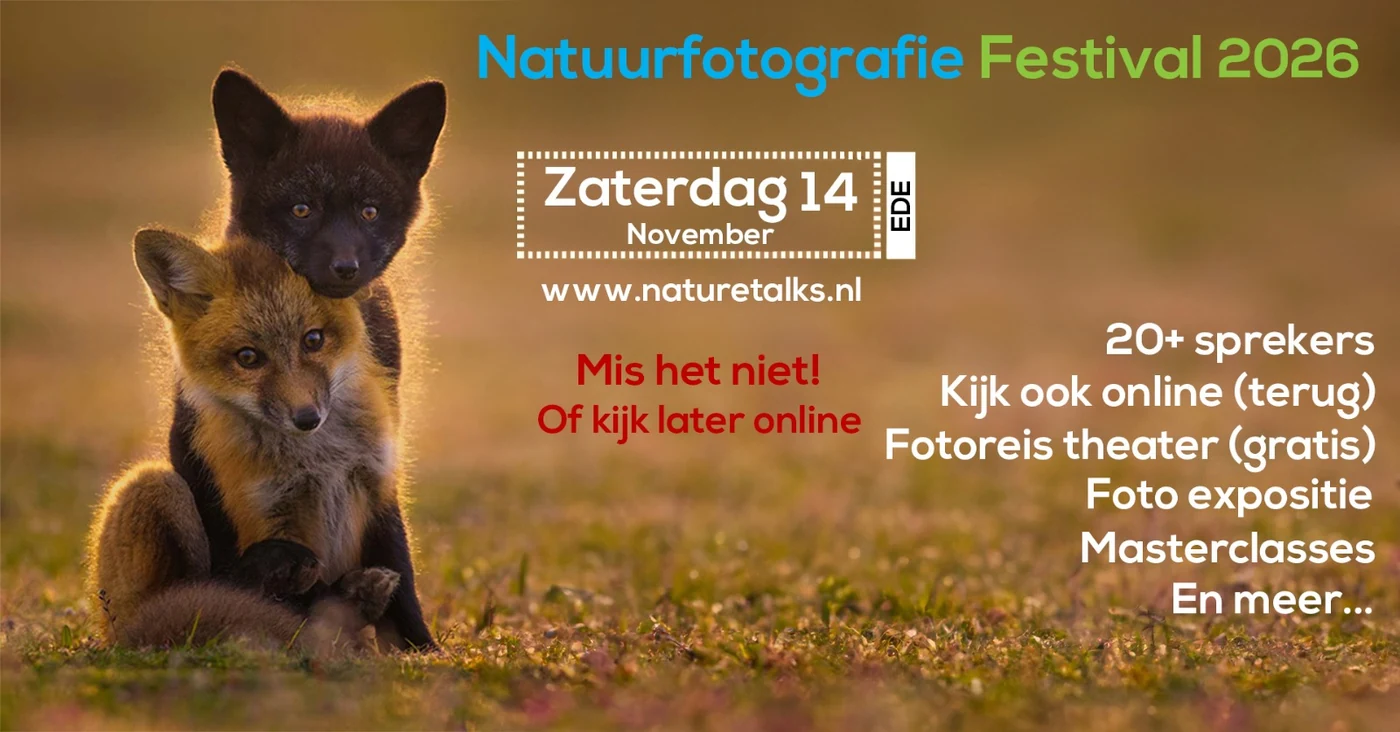 Promotiebeeld met twee vossenwelpen in het gras en tekst over het Natuurfotografie Festival 2026.
