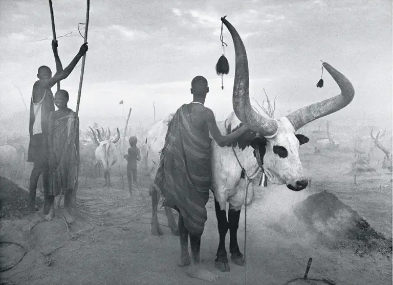 Dinka-groep in veekamp Pagarau, Zuid-Soedan, 2006, door Sebastião Salgado