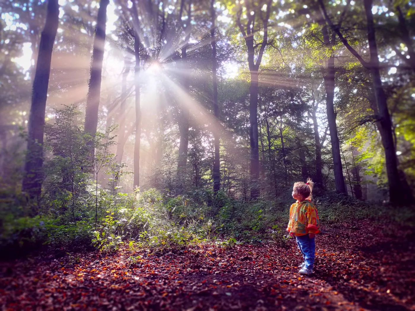 Fotowedstrijd Herfst 2020 op Fotografie.nl