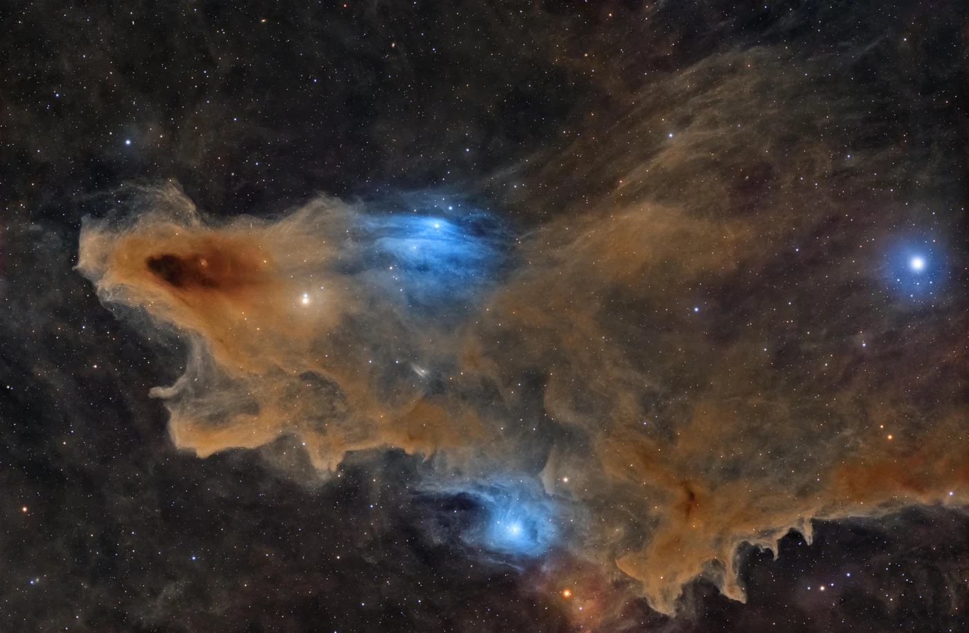 Bruine stofwolken in de vorm van een haai, met blauwe reflectienevels tussen de sterren.