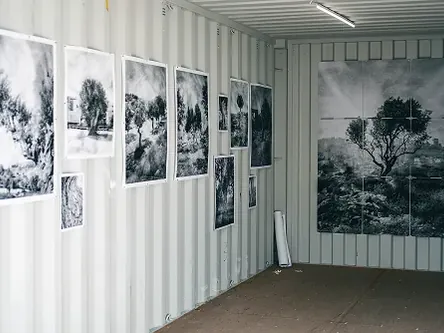 Zwart-witfoto’s van bomen en landschappen hangen aan de wanden van een tentoonstellingscontainer bij Rotterdam Photo.