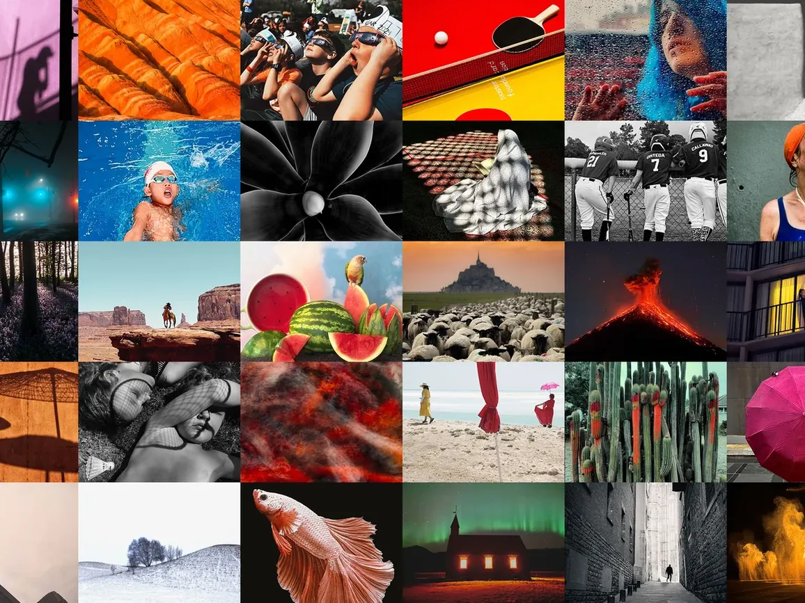 Collage van kleurrijke en zwart-witfoto’s met landschappen, sporters, portretten, dieren en stedelijke scènes.