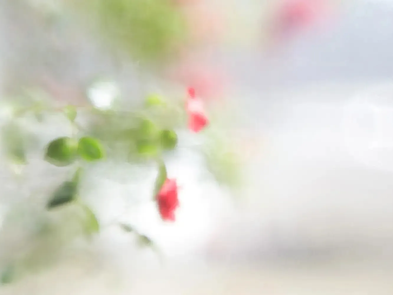 Dromerige, onscherpe weergave van roze bloemen en groene bladeren tegen een lichte achtergrond, gefotografeerd door Marlies Hofstede.
