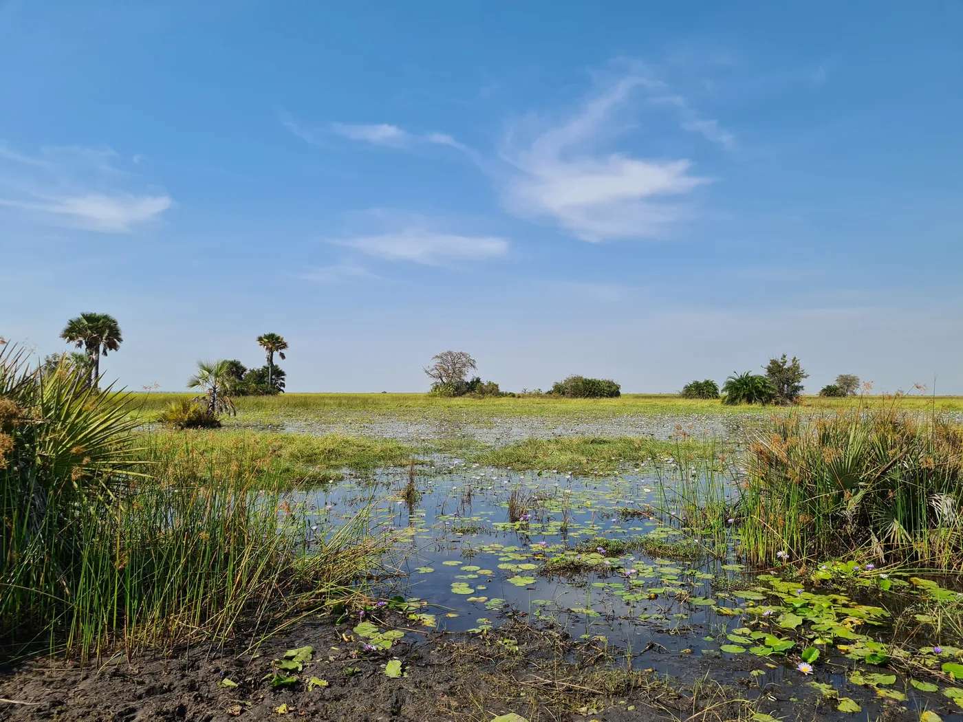 Expansive wetland and savanna landscape in western Tanzania