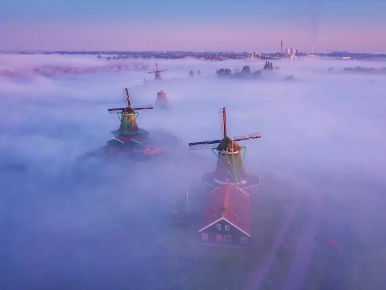 Windmolens steken boven een dikke laag mist uit in zacht paars en roze ochtendlicht.