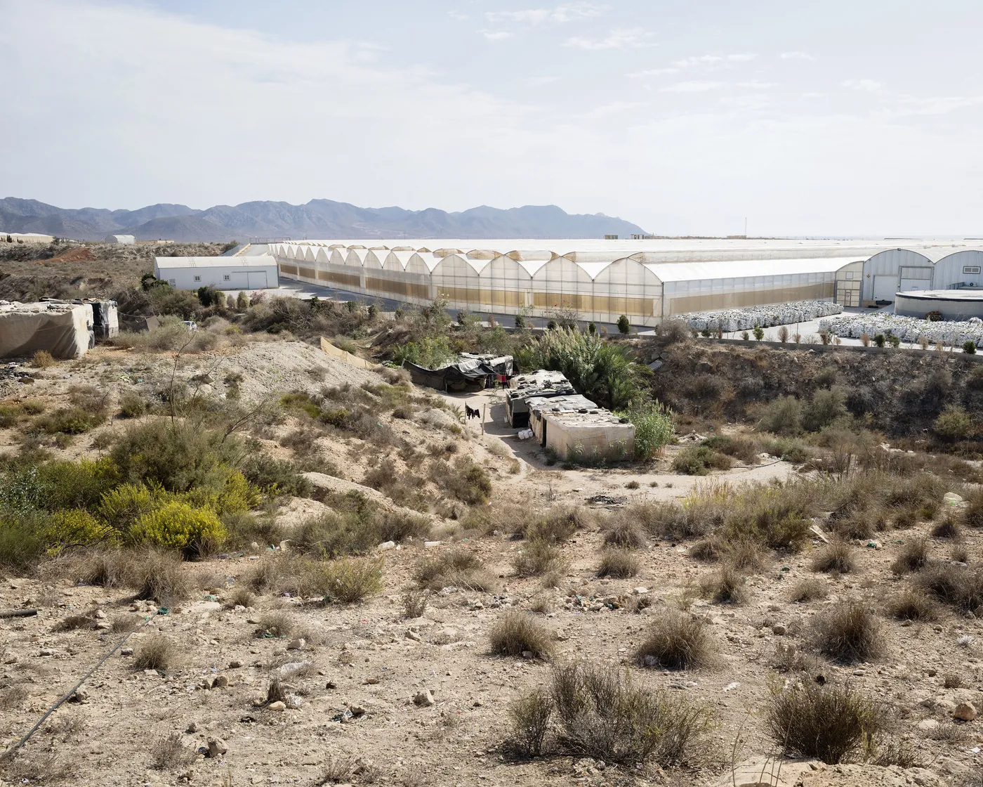 Plastic kassen en provisorische woningen in een droog landschap bij Almería, gefotografeerd door Rob Hornstra.