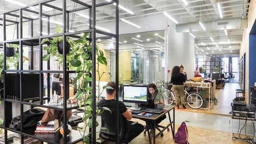 people coworking in a desk in betahaus sofia with some plants hanging from the shelves
