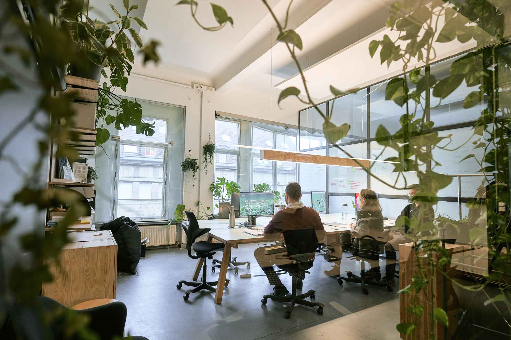 betahaus, photo 6