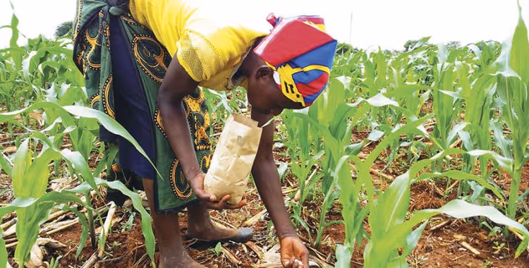 Marrocos fornece fertilizantes a Angola