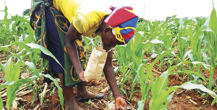 Marrocos fornece fertilizantes a Angola