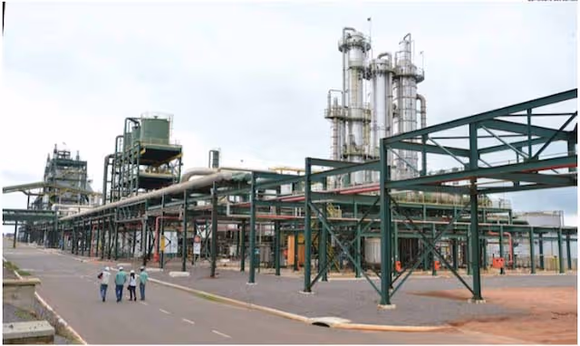 Biocom reduz estimativa de produção de açúcar devido à seca, mas prevê aumento de 15%