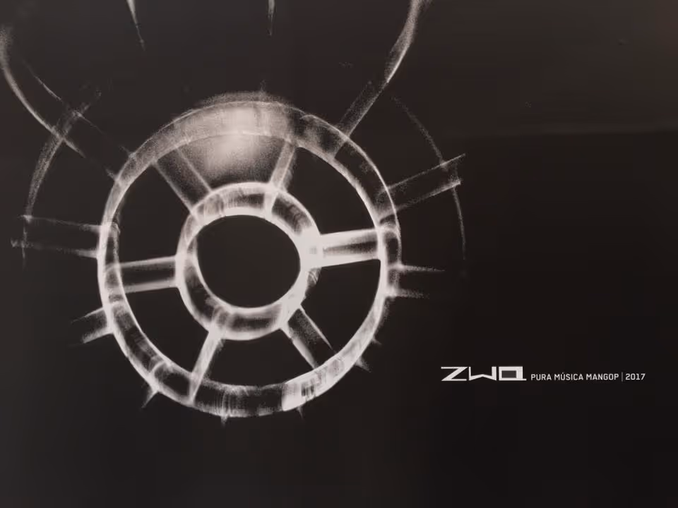 Músicos reuném-se hoje para a segunda edição do Zwa 2017 