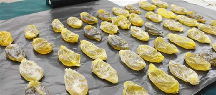 Cidadão angolano preso no Malawi por tentar contrabandear cocaína