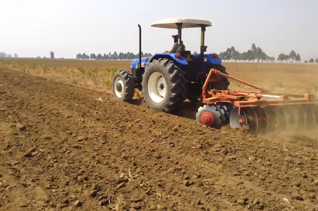 Moxico: Mais de 30 mil hectares preparados para campanha agrícola
