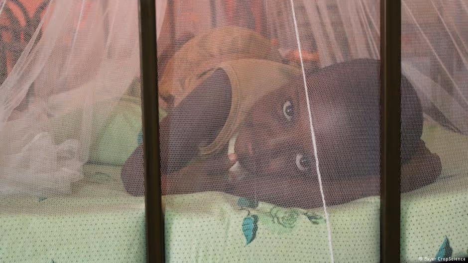 USAID e KixiCrédito apoiam campanha universal de distribuição de mosquiteiros