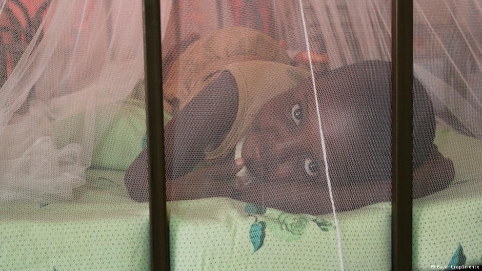 USAID e KixiCrédito apoiam campanha universal de distribuição de mosquiteiros