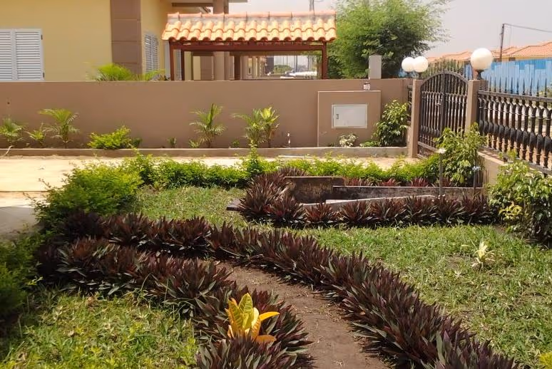 Jovens angolanos criam detector de humidade para jardins