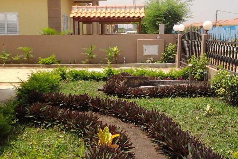 Jovens angolanos criam detector de humidade para jardins