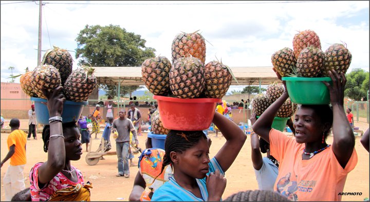 "Sem kibuto não tem pão"...