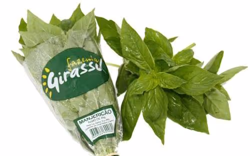 Fazenda Girassol aumenta produção e aposta na formação de técnicos