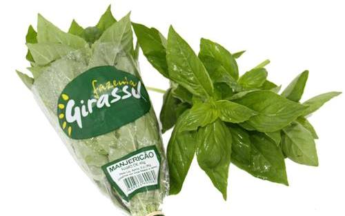 Fazenda Girassol aumenta produção e aposta na formação de técnicos