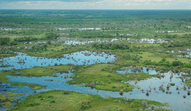 Filme sobre bacia hidrográfica de Okavango é exibido hoje