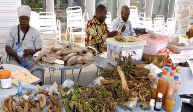 Angola precisa de laboratórios para controlar a qualidade de medicamentos tradicionais