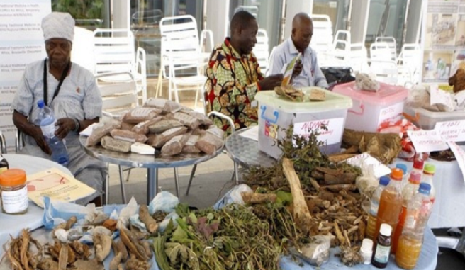 Angola precisa de laboratórios para controlar a qualidade de medicamentos tradicionais