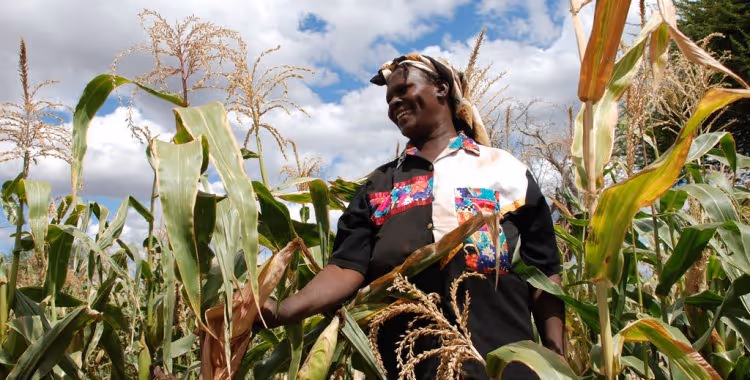 Projecto vai aumentar produção agrícola
