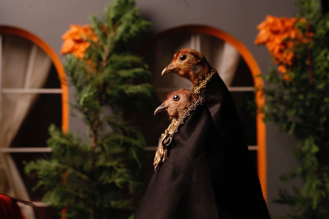 Movart apresenta-se pela segunda vez consecutiva na Feira de Arte Contemporânea Africana de Londres