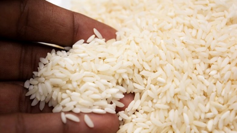Angola só produz 6% do arroz que consome