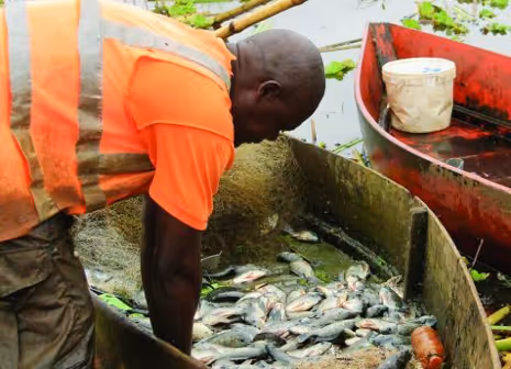 Angola vai criar estrutura nacional de biossegurança