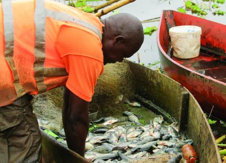 Angola vai criar estrutura nacional de biossegurança